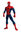c- Silueta articulada Spiderman